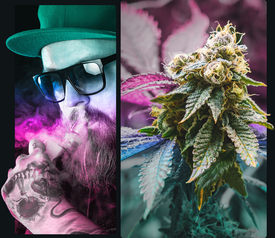 Smoke and vape essentials with CBD levels chart at Cloud Dreamzzz