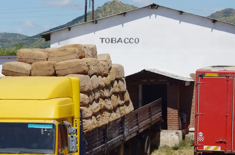 Truck loaded with tobacco bales outside a tobacco shop in Tulsa, with a red truck nearby and scenic hills.