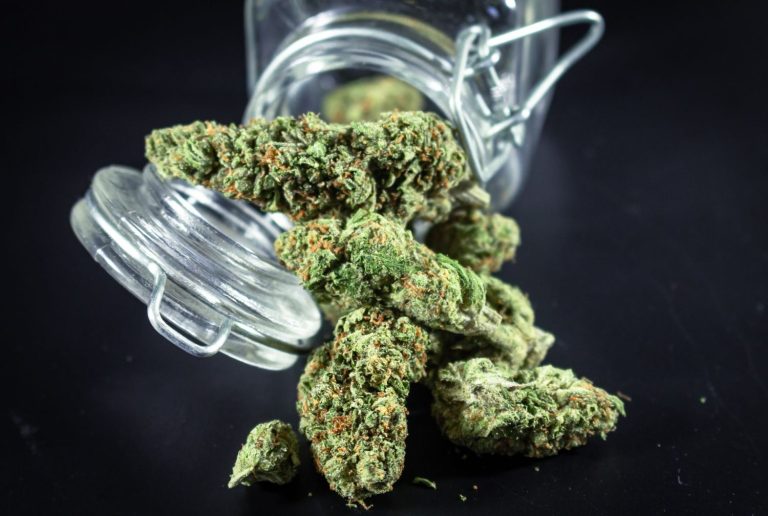 Fresh green hemp flower buds spilling out of a glass storage jar from a premium CBD shop Tulsa for natural wellness.