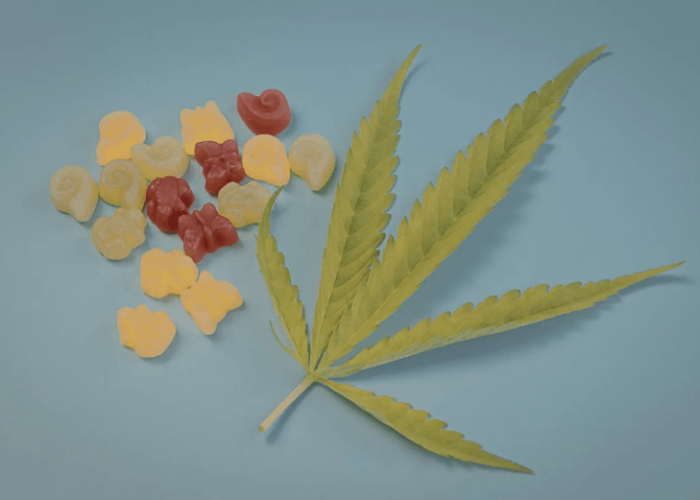 Assorted butterfly and snail CBD gummies from a CBD shop Tulsa with a green cannabis leaf on a blue background.