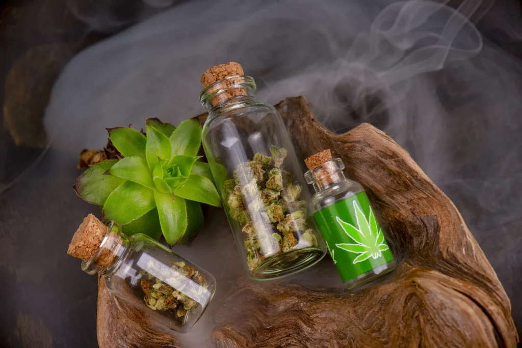 Cannabis buds and CBD oil near a succulent at our cbd shop tulsa, helping you choose the right CBD strength.